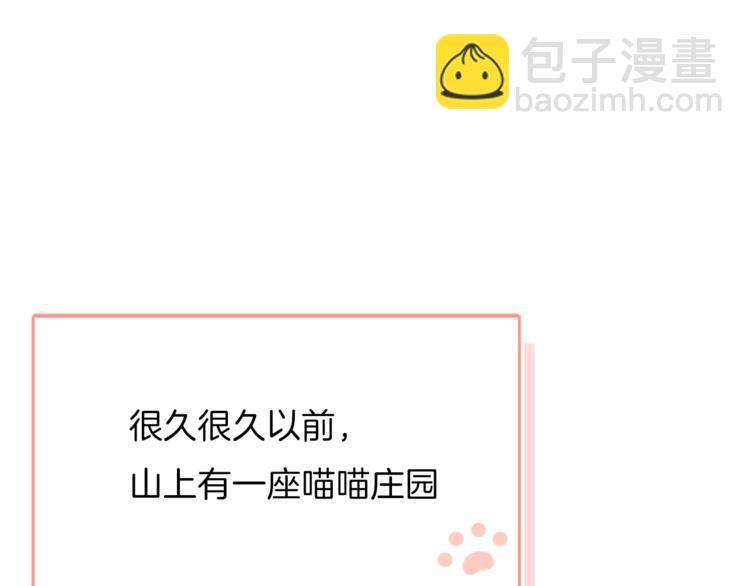 番外 喵仆驾到2