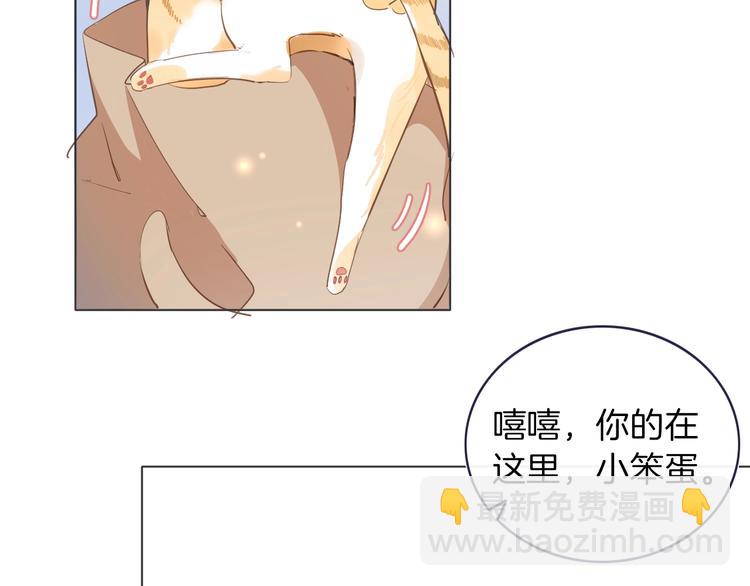 番外 喵仆驾到33