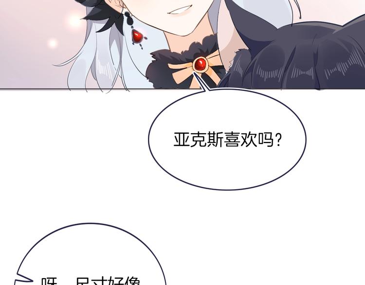 番外 喵仆驾到42