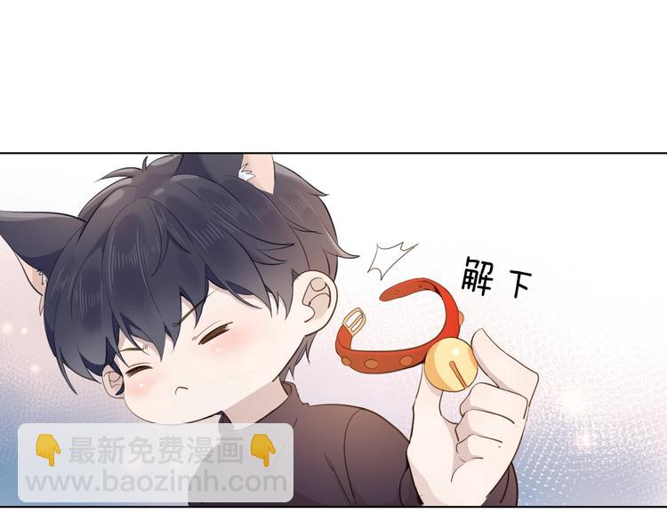 番外 喵仆驾到45