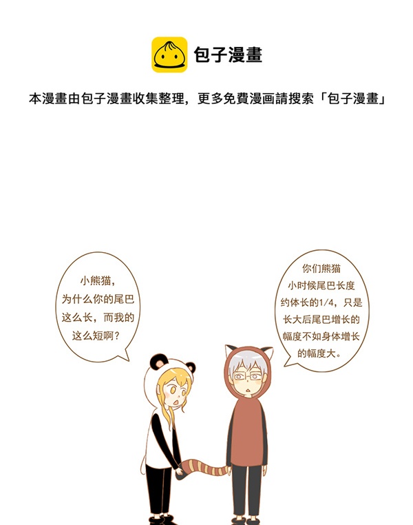 小熊猫0