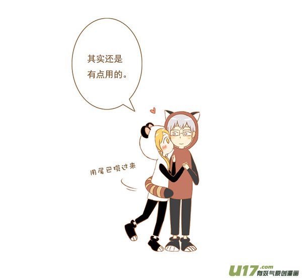 小熊猫3