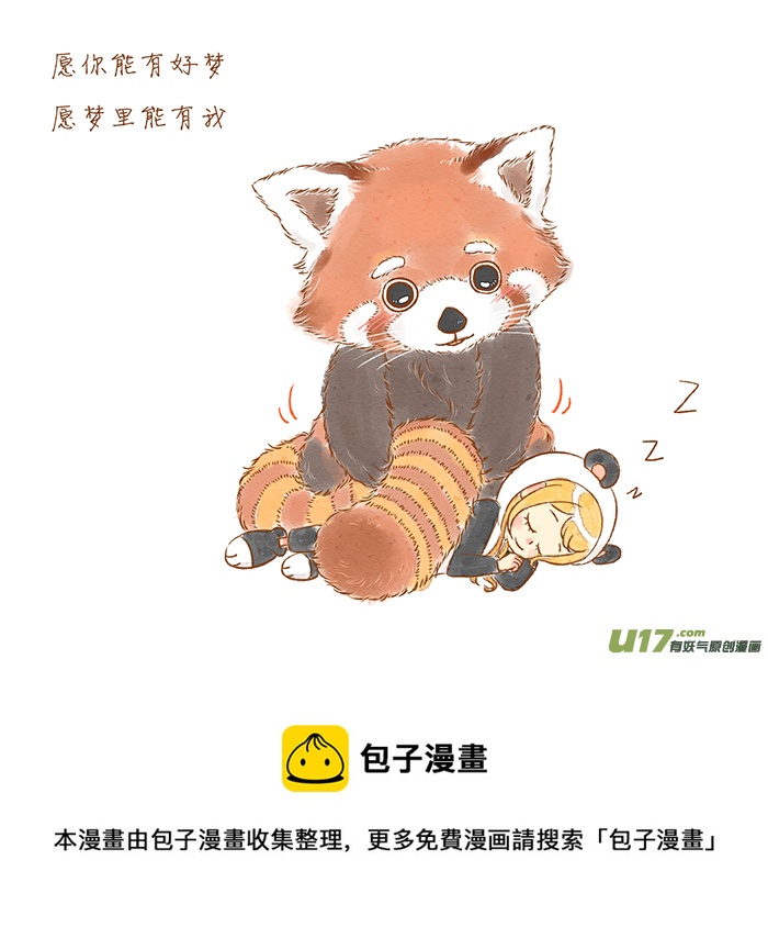 小熊猫4