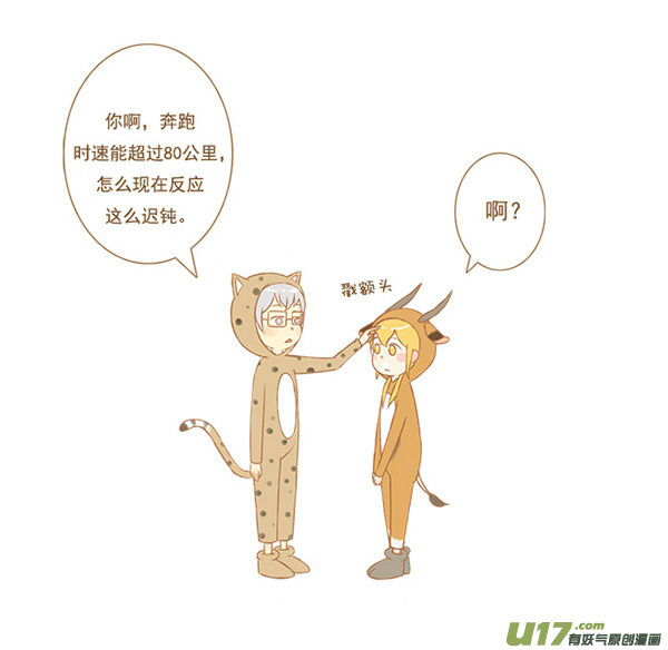 豹和羚2
