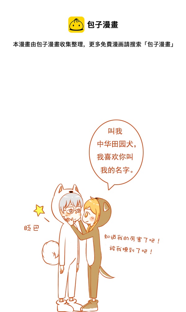 田园犬4