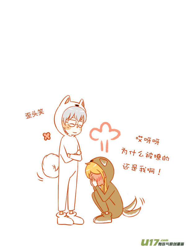田园犬6