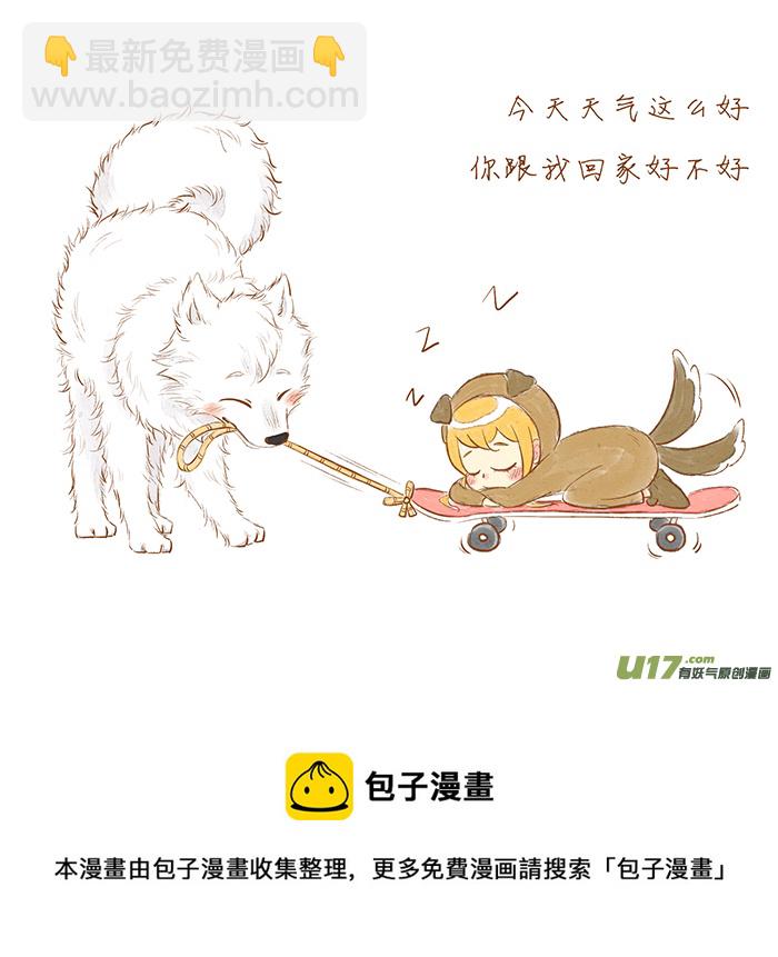 田园犬8