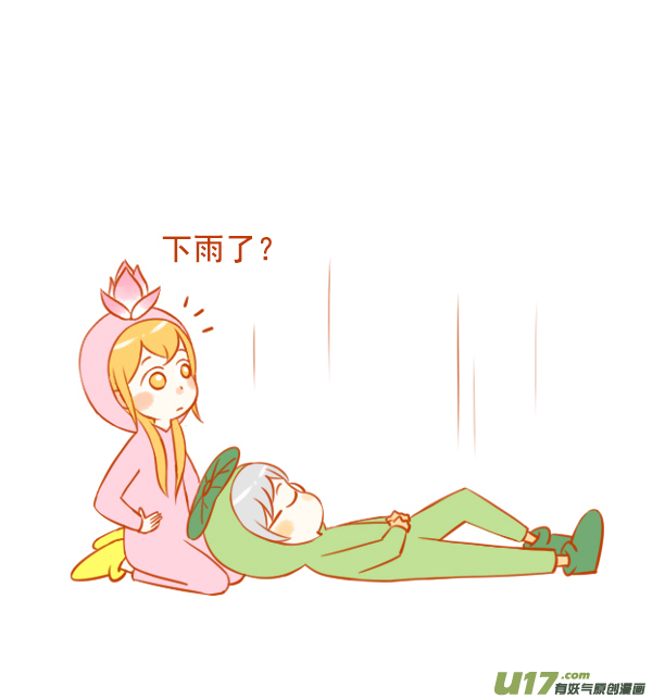 荷花叶1