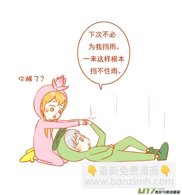 荷花叶3