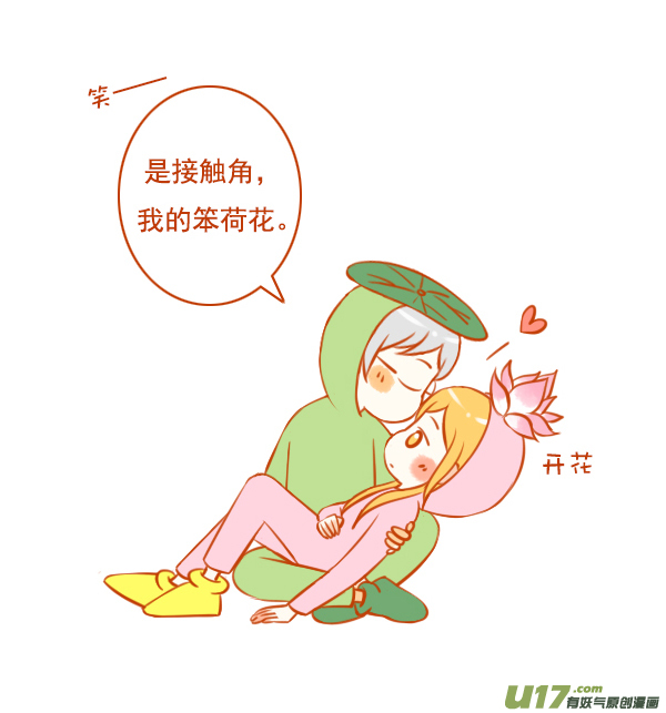 荷花叶7