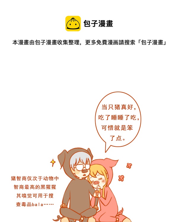 两只猪0