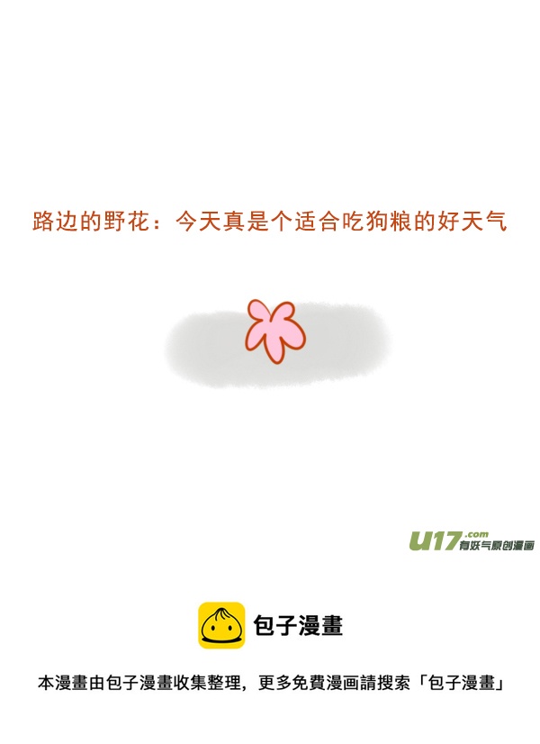 黑孔雀5
