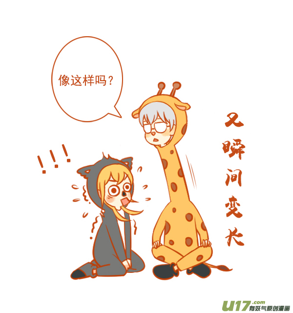 长颈鹿3