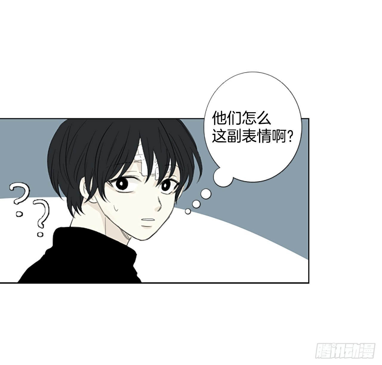 81.圣战——偶然和缘分（3）39