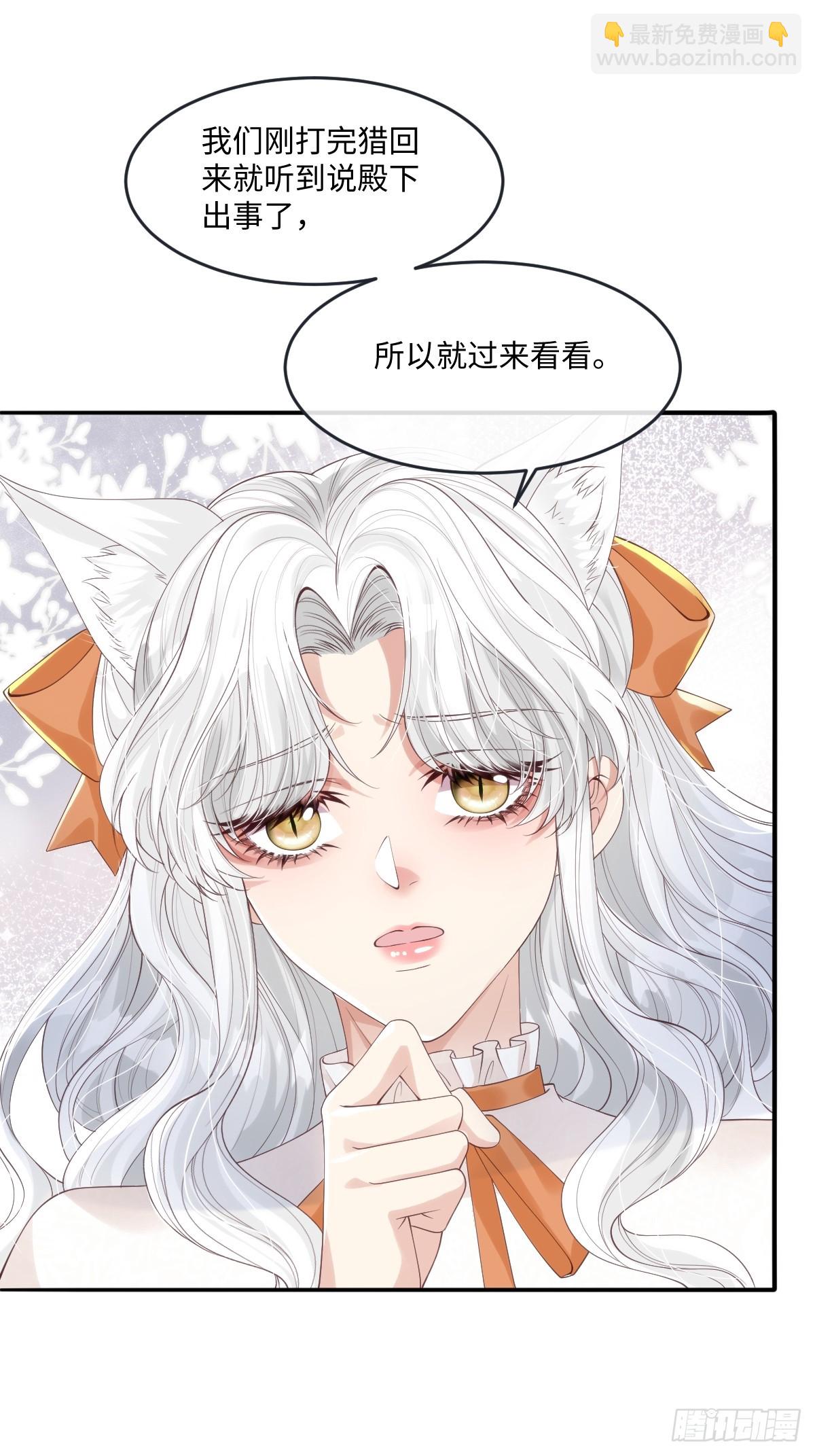 53 丈夫人选10