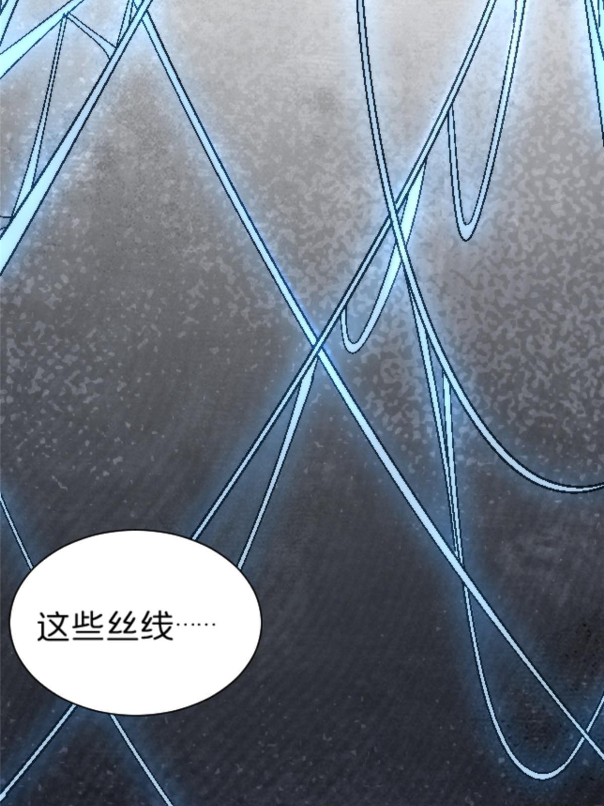 17 蛛网56