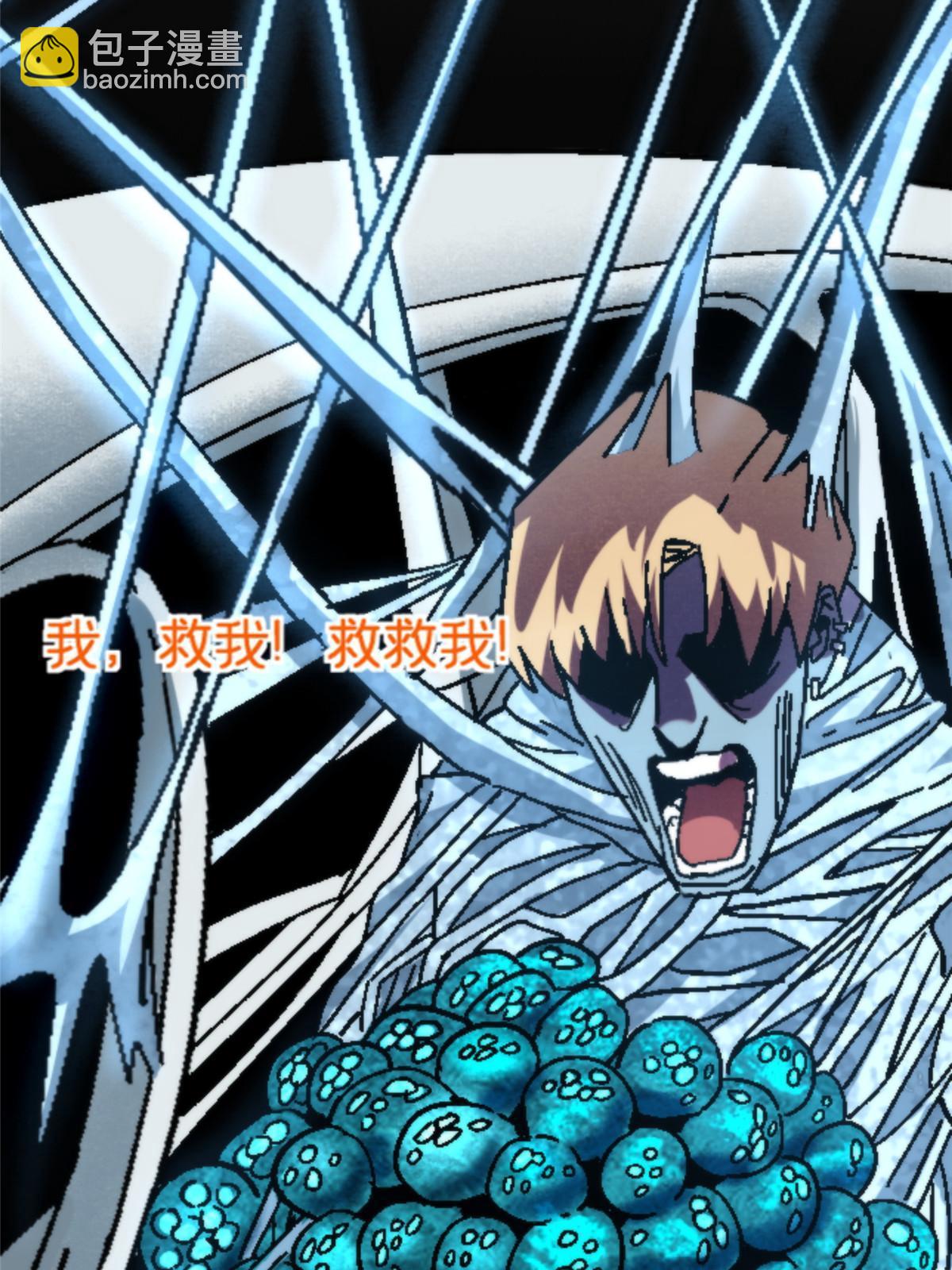 17 蛛网67