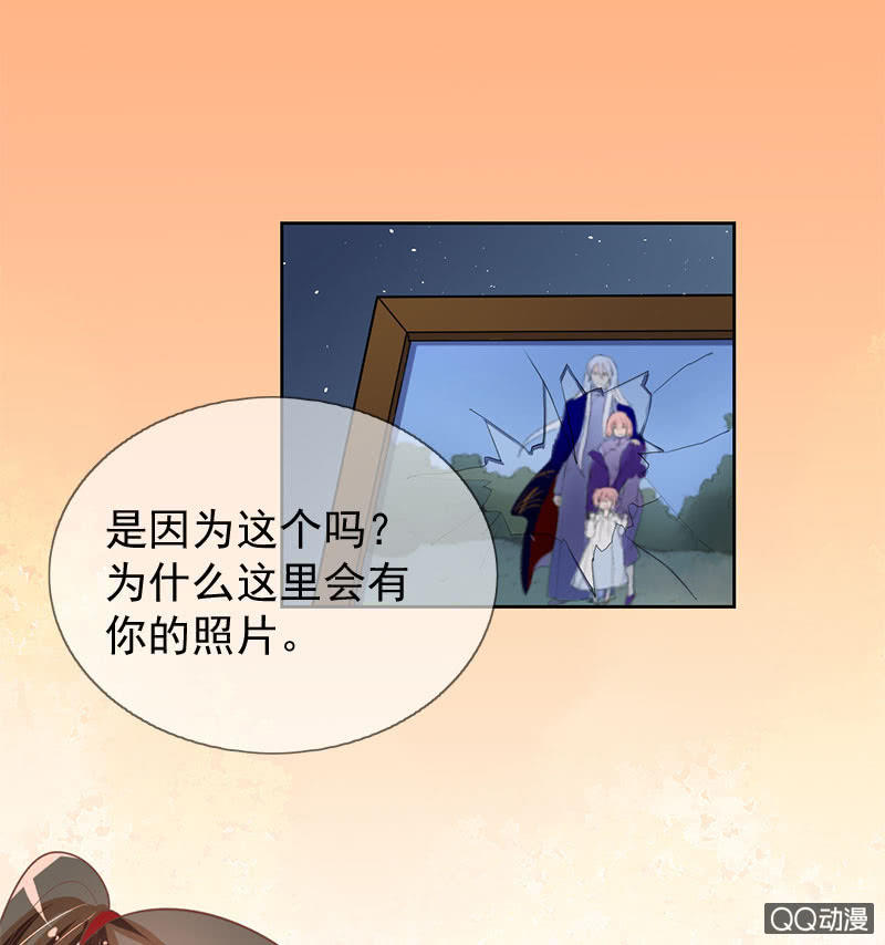 苏醒8