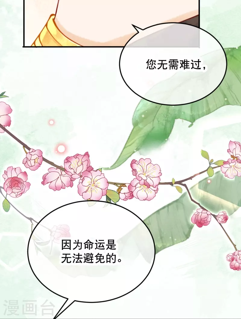 第27话 一切都是命运使然22
