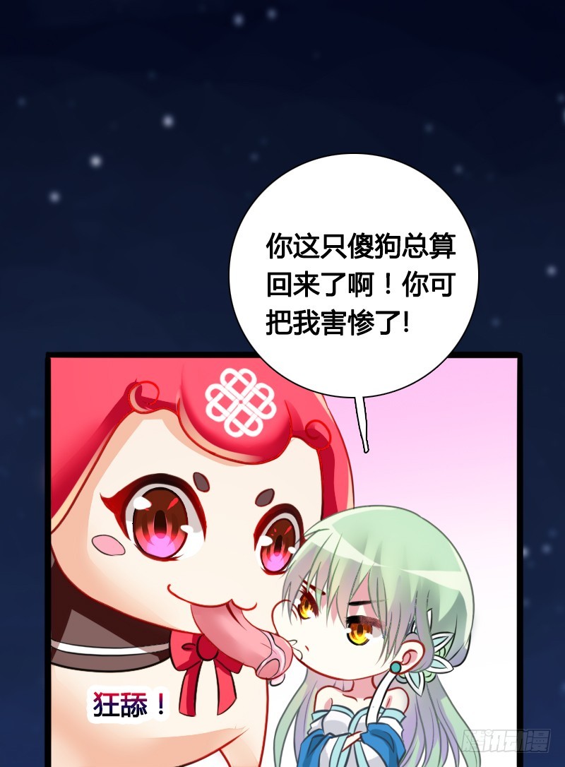 71 这么可爱，能不吃我么？35