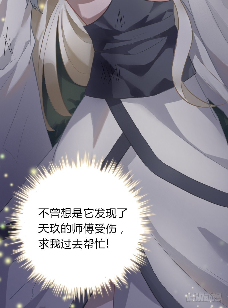 71 这么可爱，能不吃我么？73