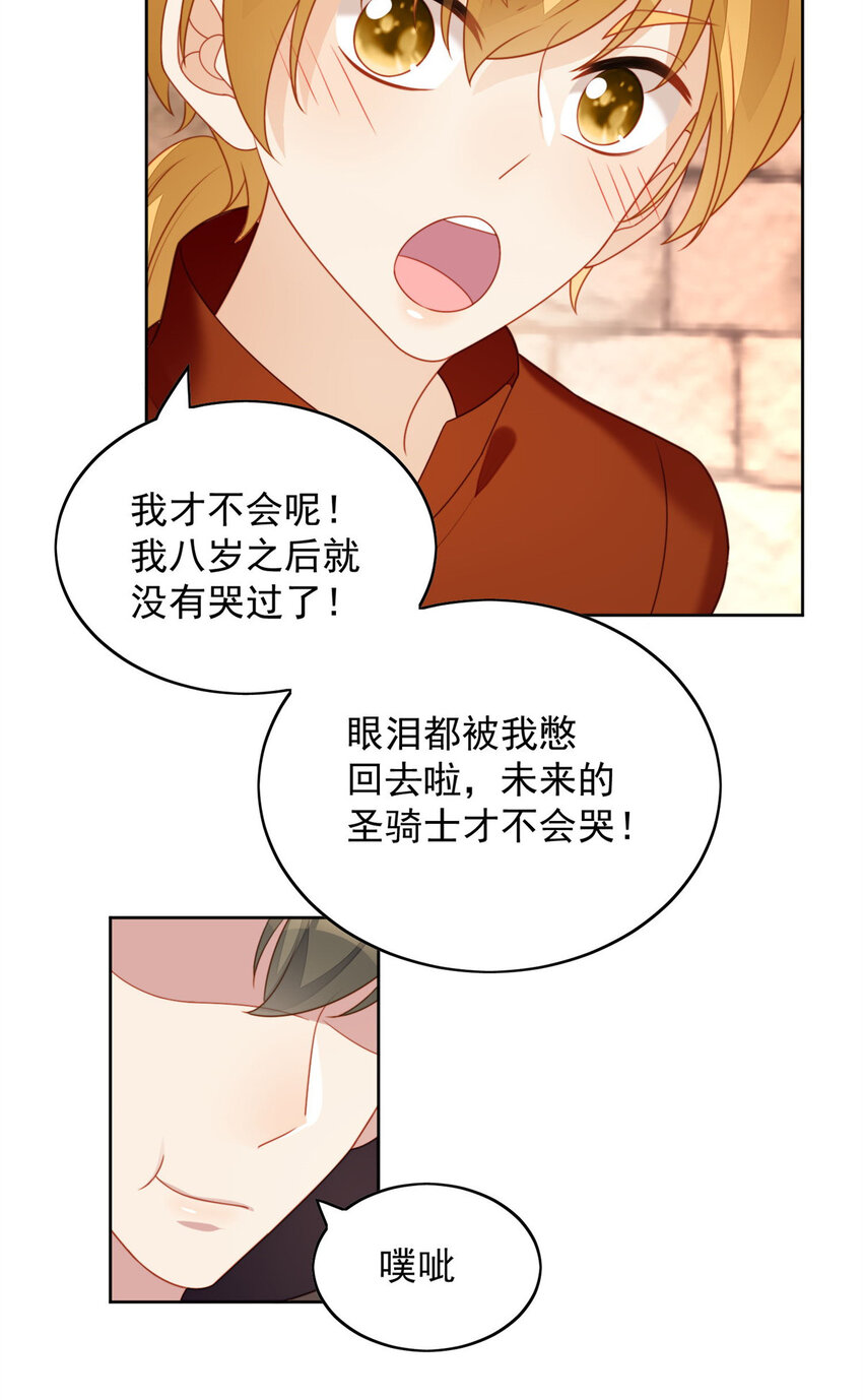 第35话 骑士的往事10
