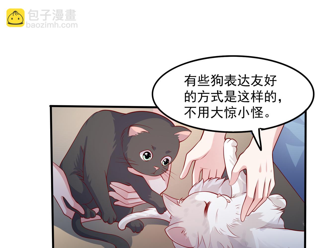37道歉的技巧8