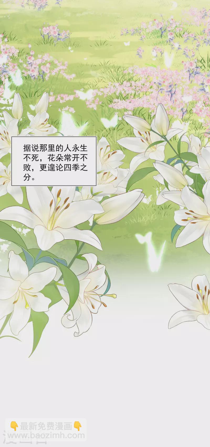 第26话 金色的斯特里特30