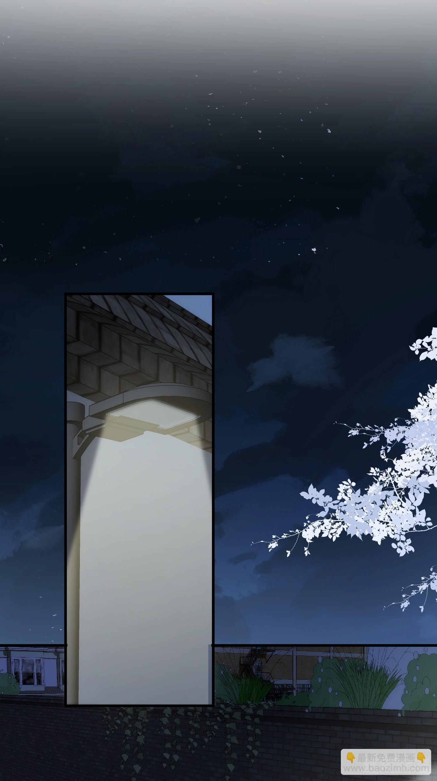 第74话 黑夜12