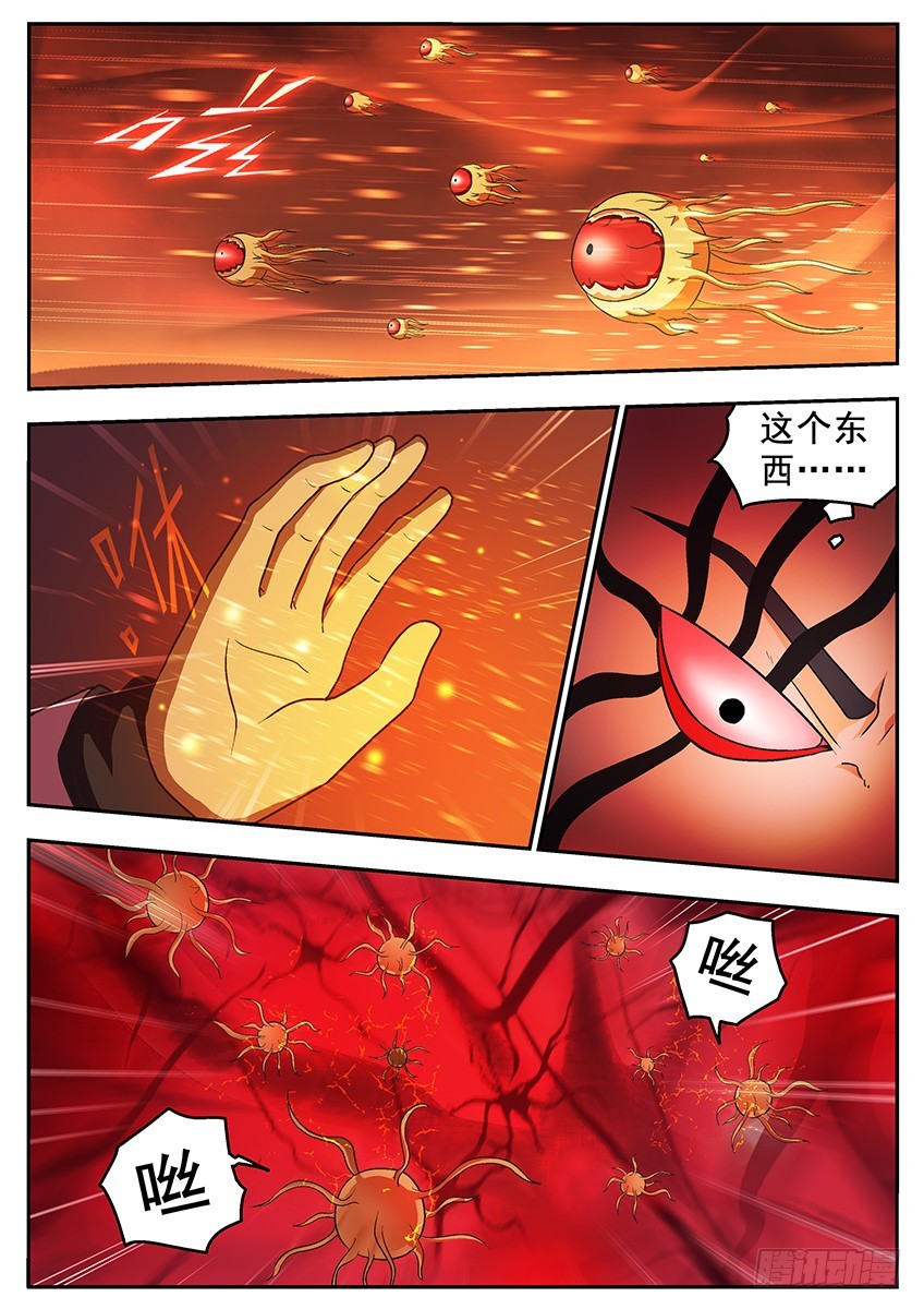 由我决定7