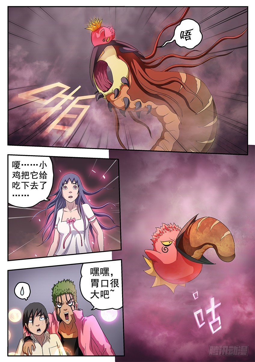 巨鸟5