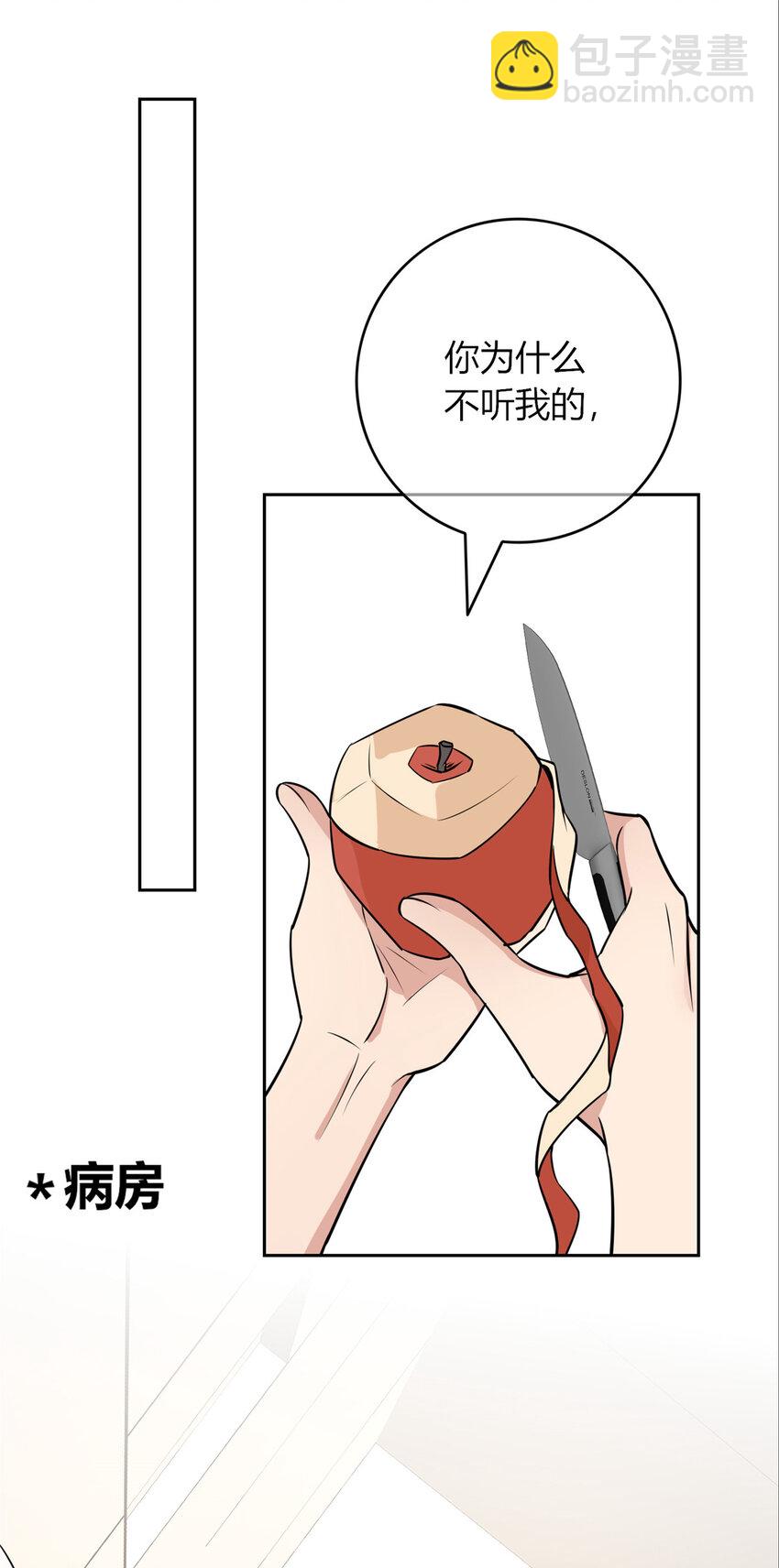 80 8040