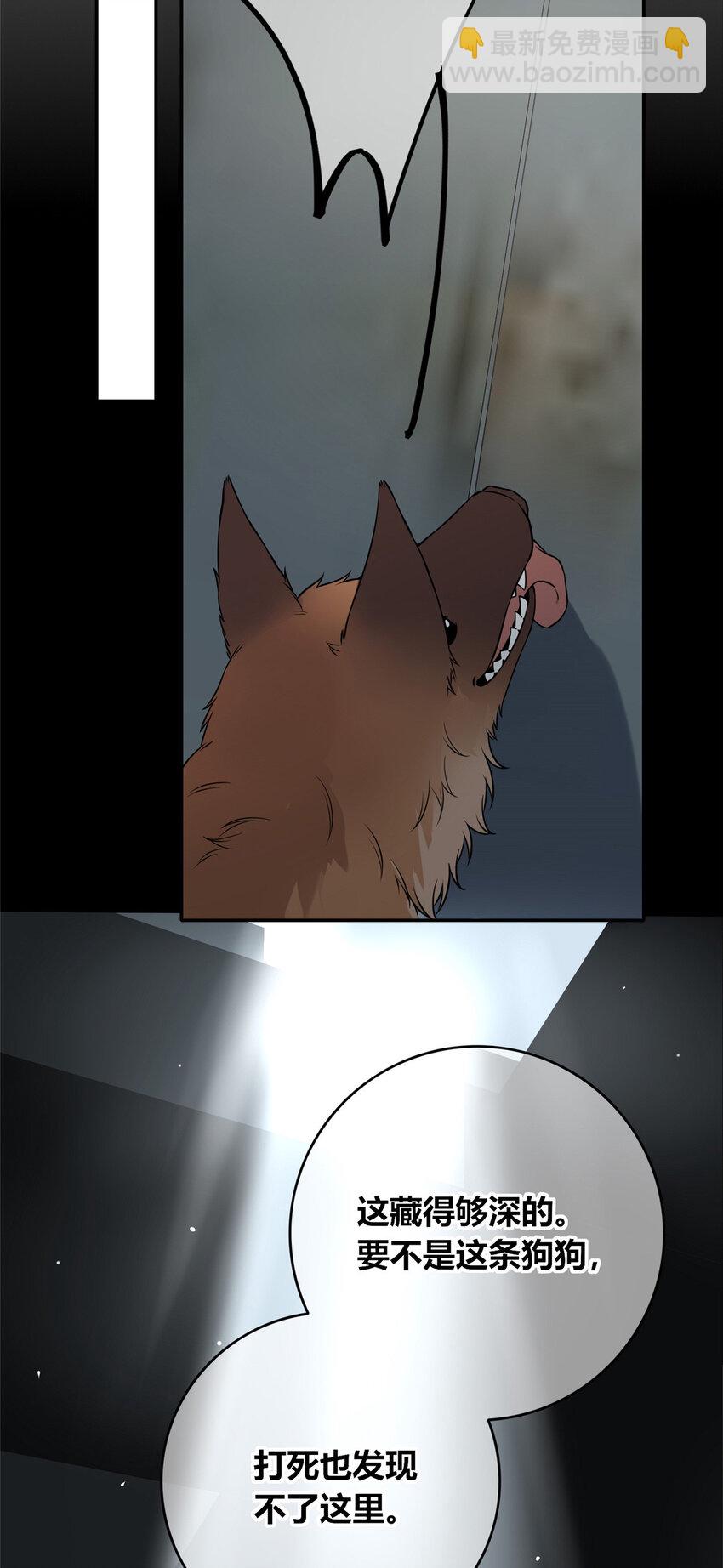 84 8423