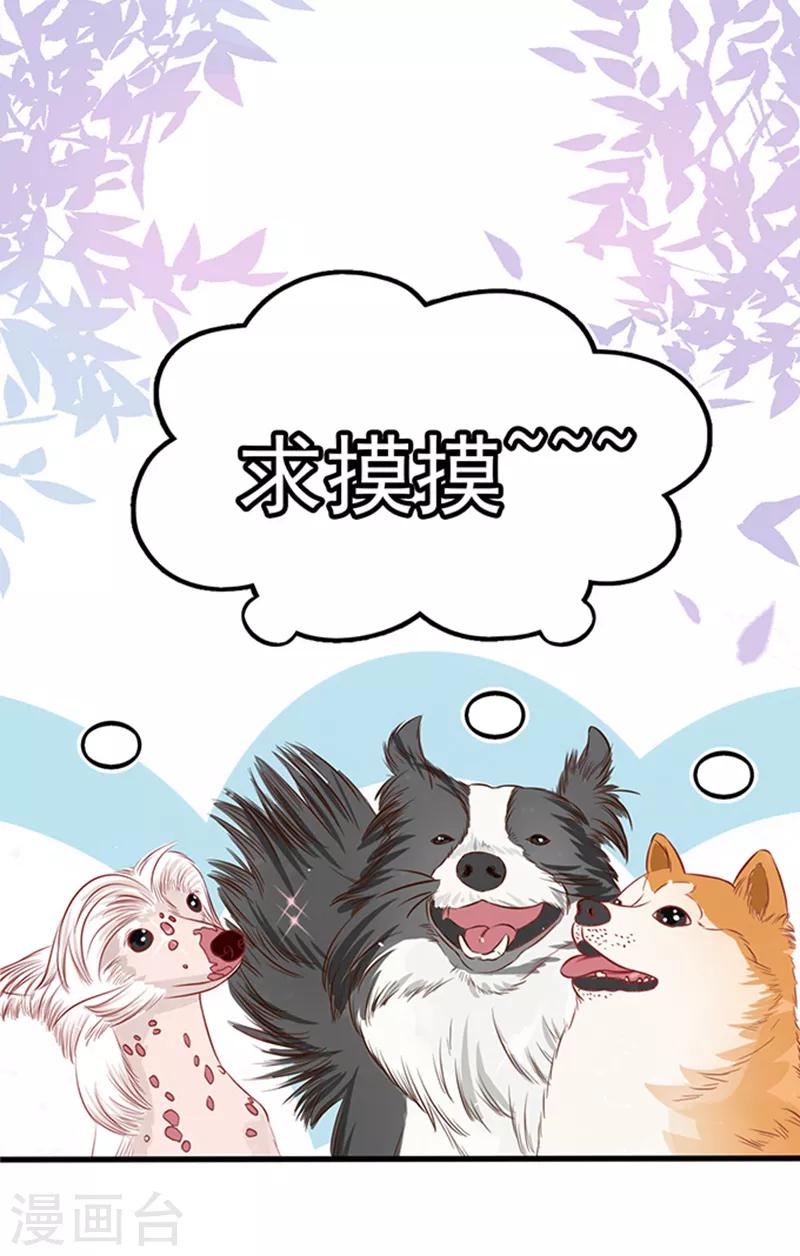 第43话 隐形毛绒控24