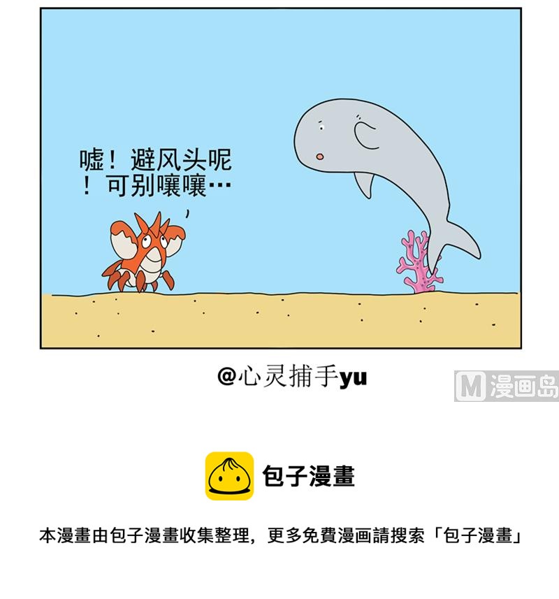 避风头的小龙虾1