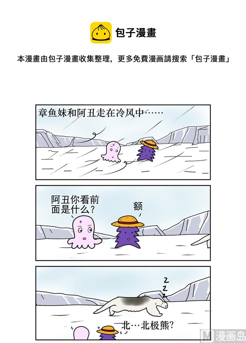 你是北极熊吗0