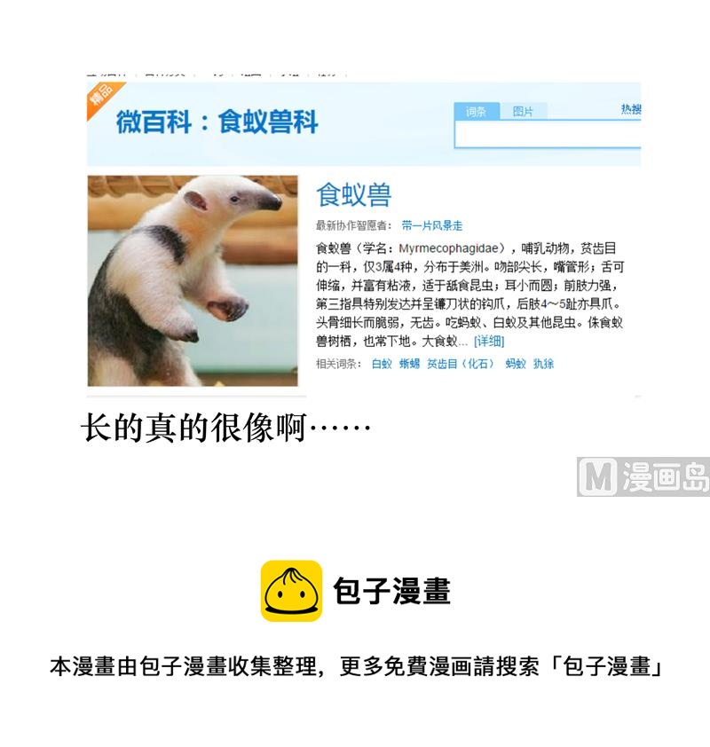 你是北极熊吗6