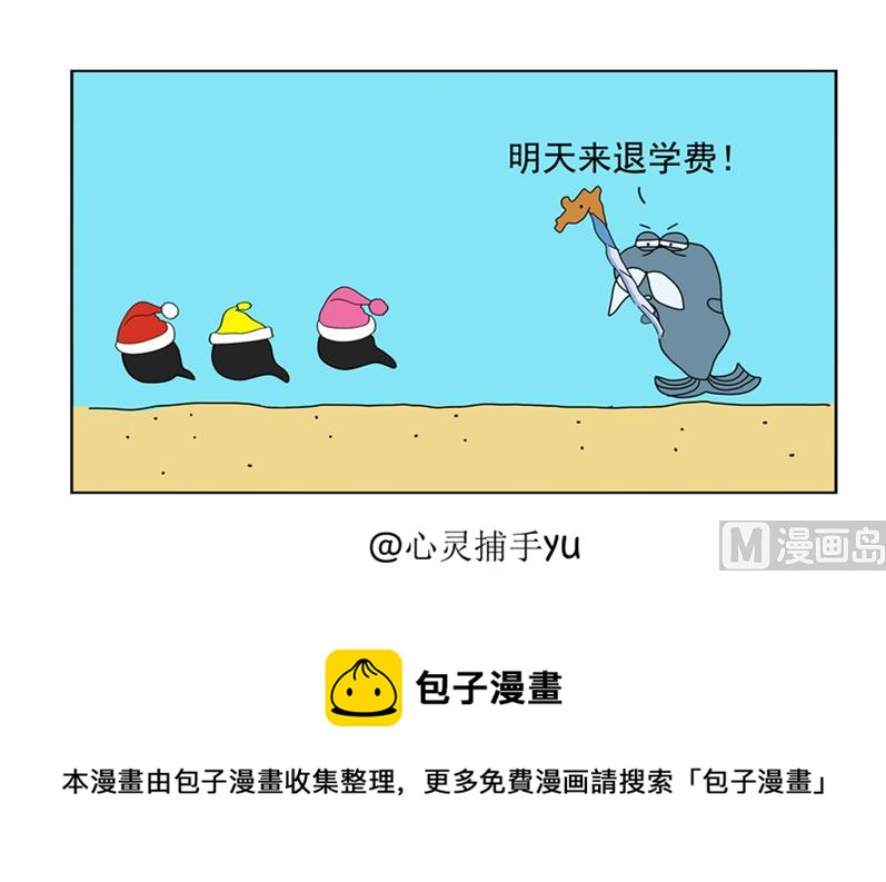 像老师4