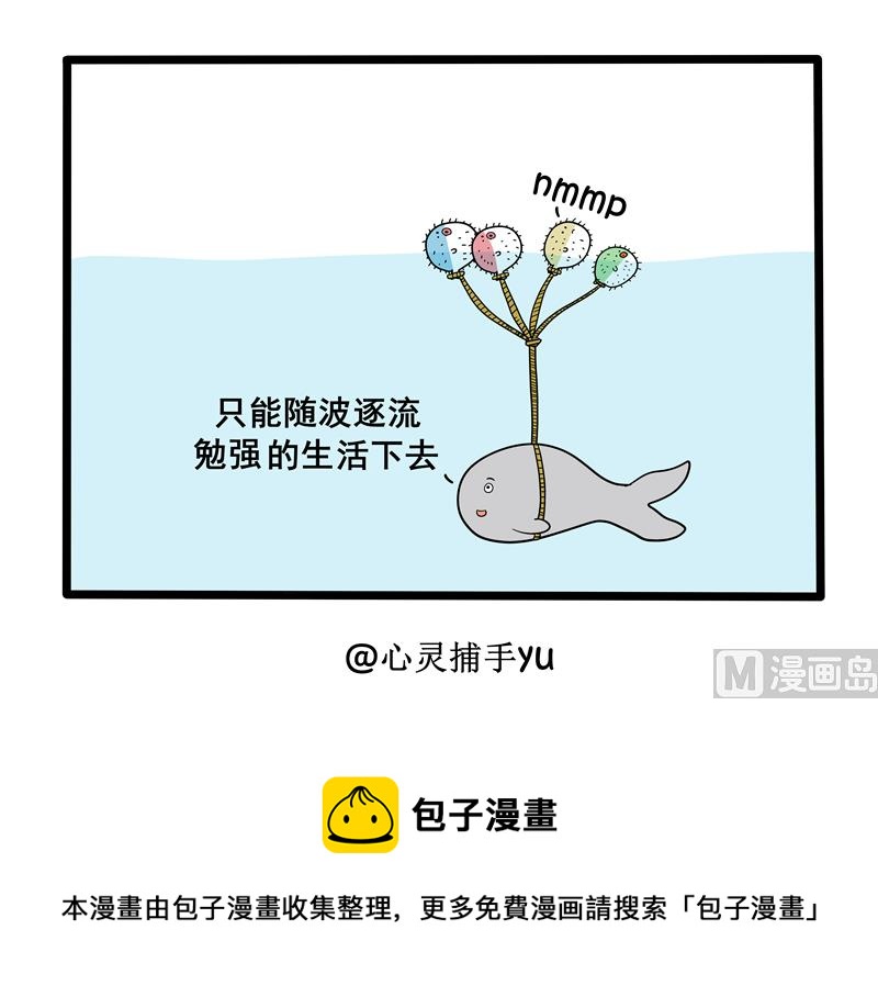 鱼生无趣3
