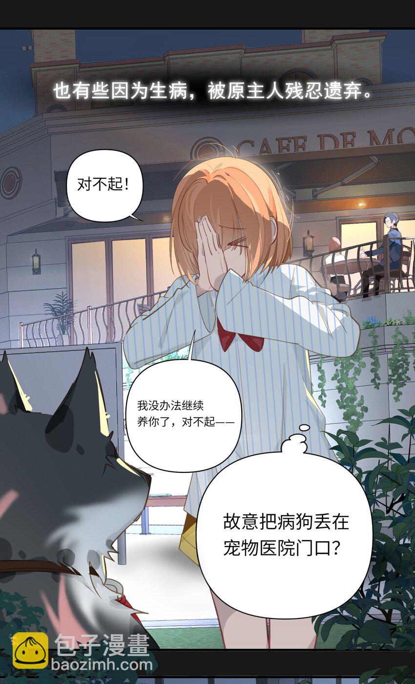 002 美好的他11