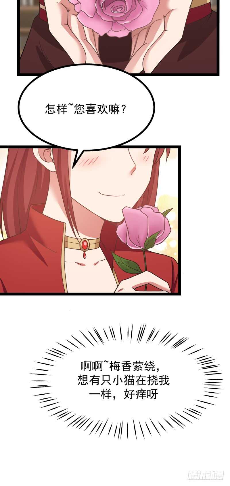 玫瑰与梅花2