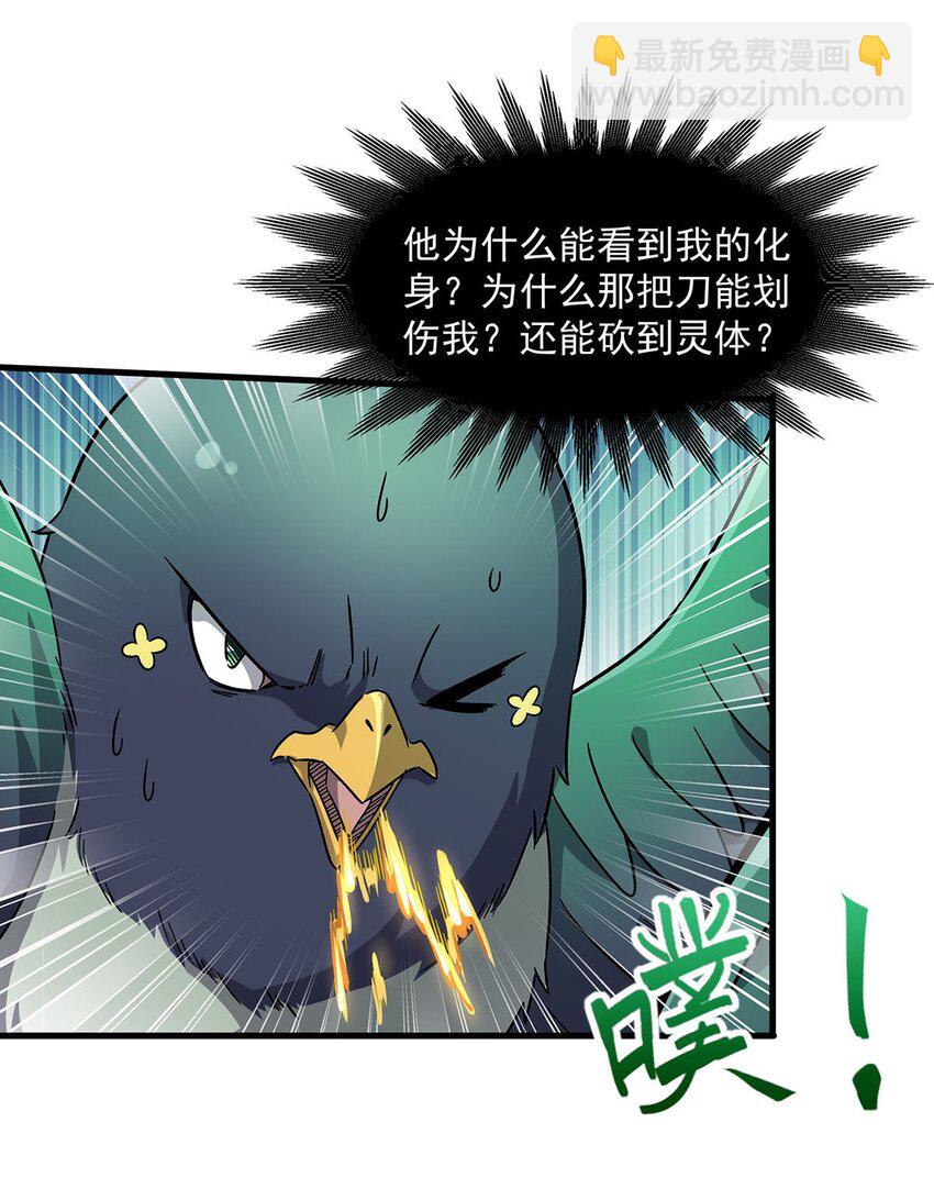51 过气大龄偶像41