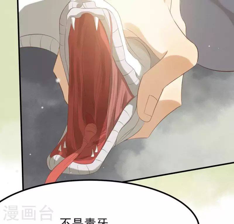 第71话 奇怪的哥哥们30
