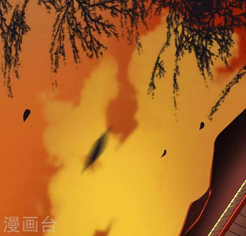 第71话 奇怪的哥哥们39