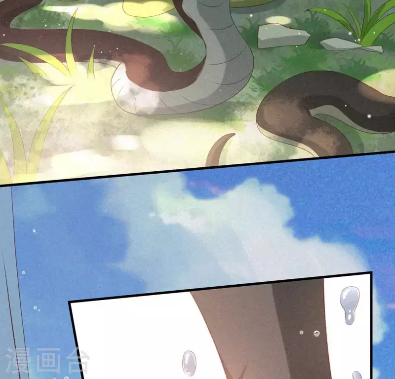第71话 奇怪的哥哥们4