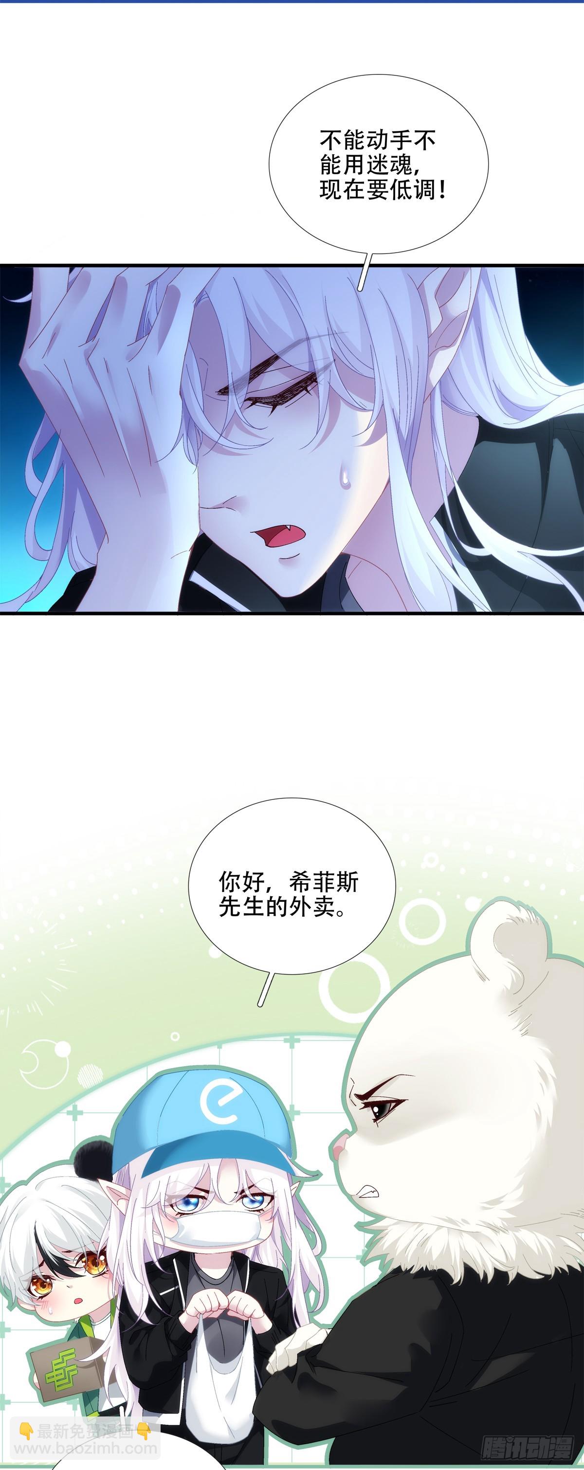 小熊猫寻夫！11