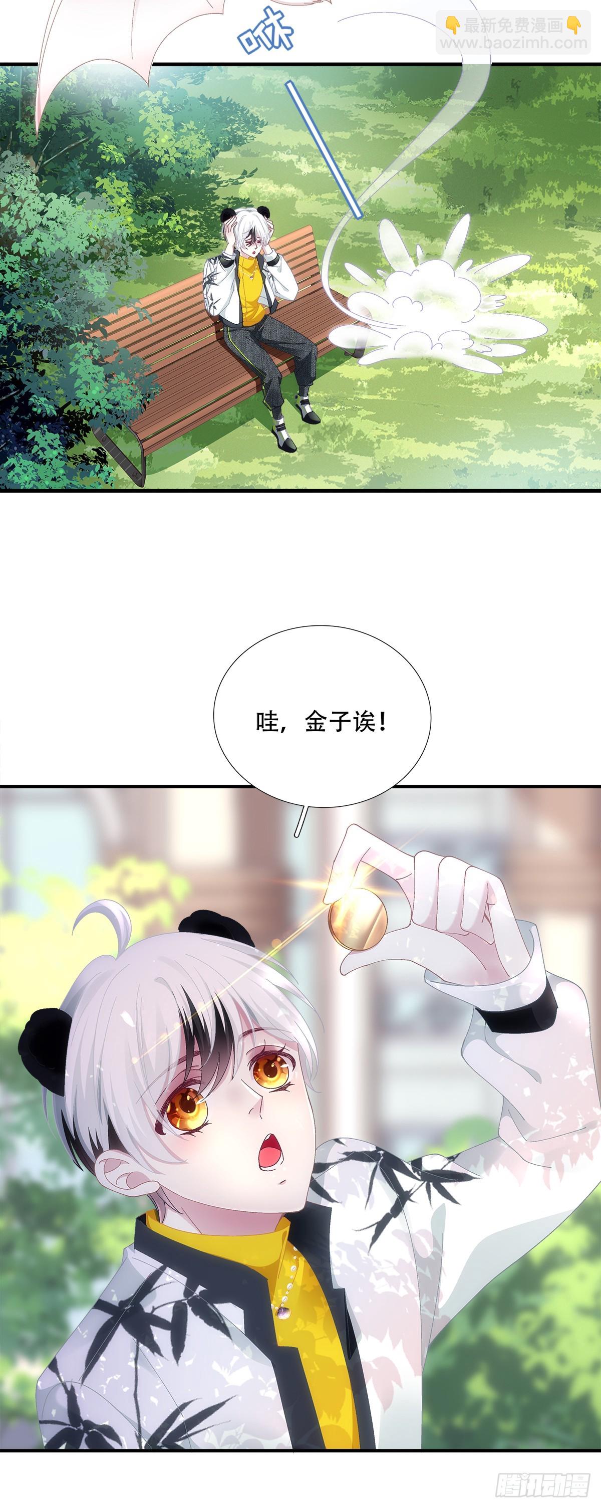 小熊猫寻夫！21