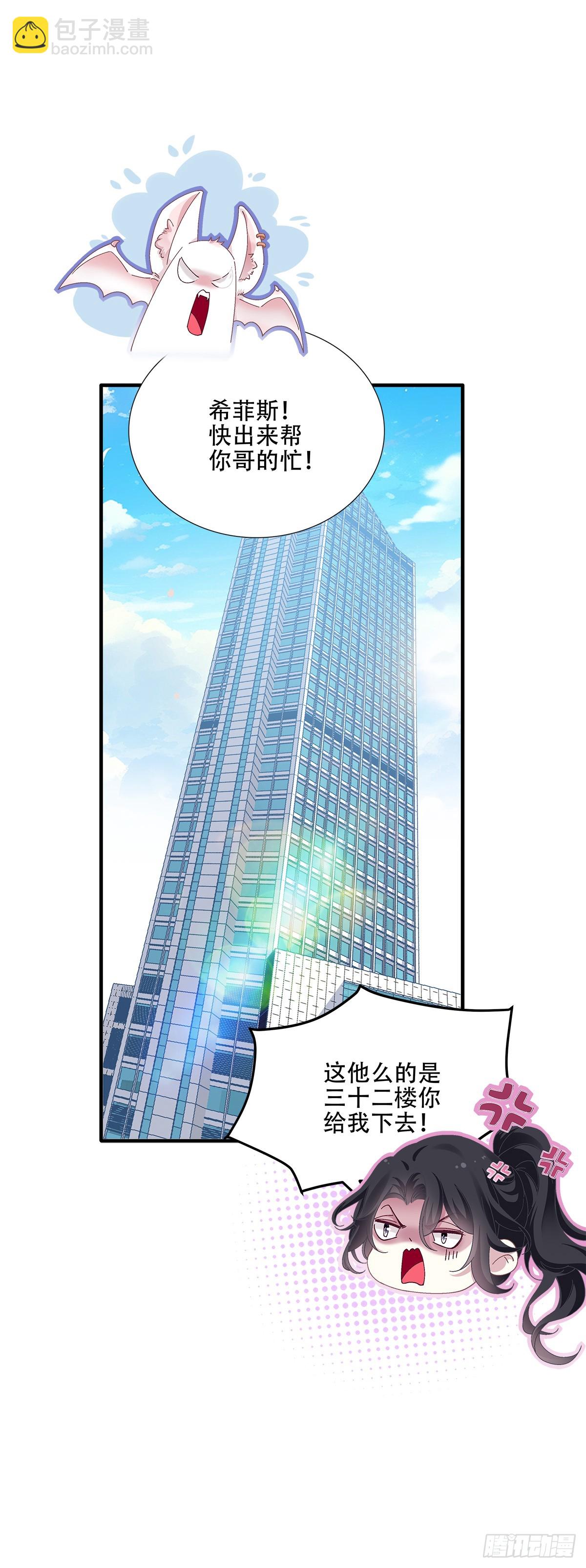 小熊猫寻夫！22