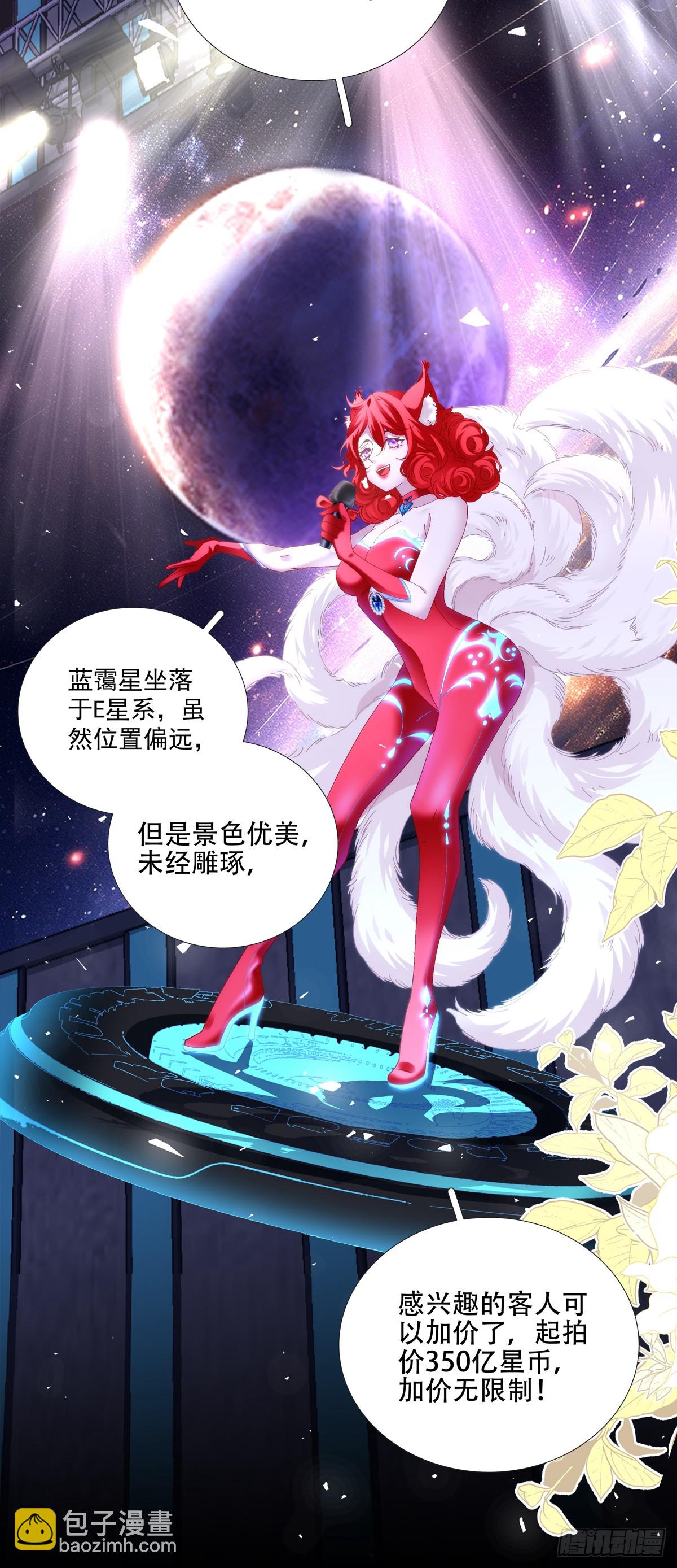 小熊猫寻夫！29