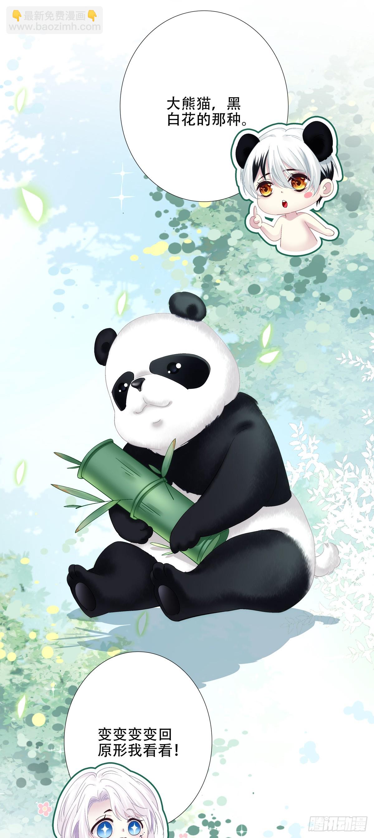 谁的宝宝？！29